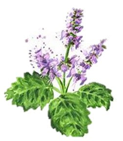 Ritual Comfort Body Balm