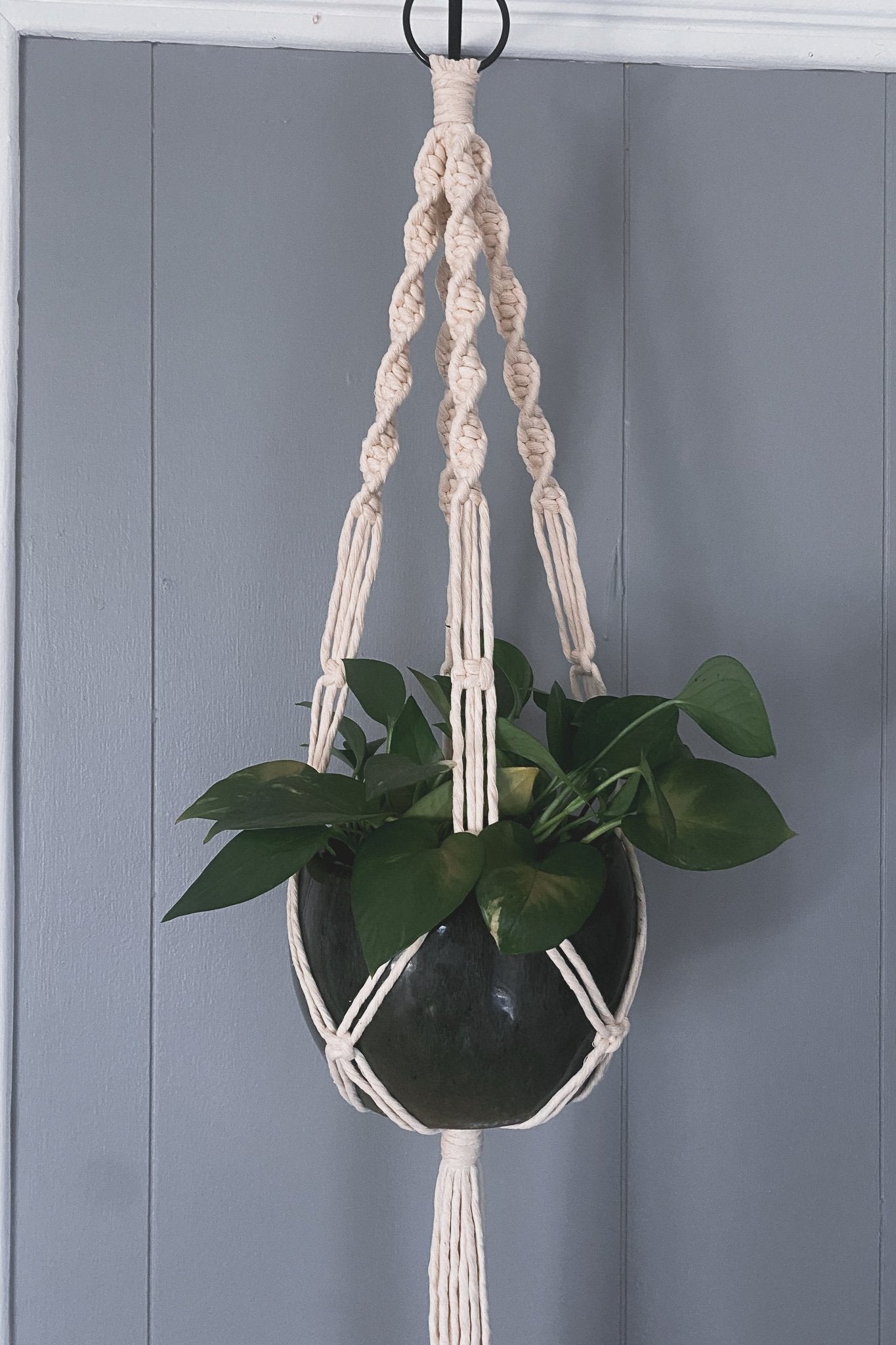 Botanical Living Holder — Single