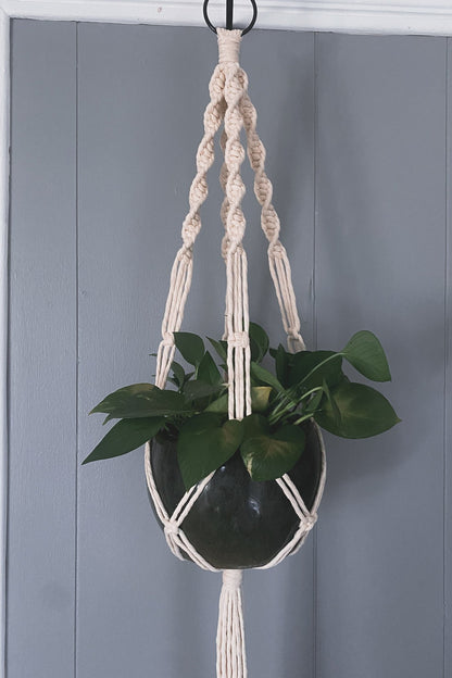 Botanical Living Holder — Single